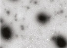 Chitosan Nano-encapsulation