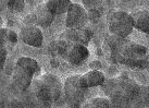 Polymeric nano-carriers