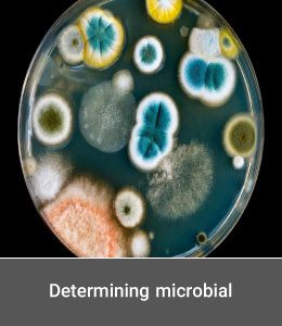determining microbial contamination