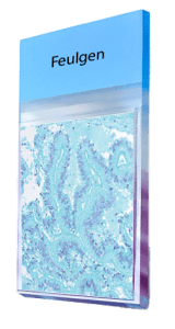 Feulgen
