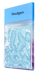 Feulgen