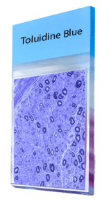 Toluidine-Blue