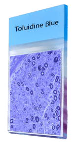 Toluidine-Blue