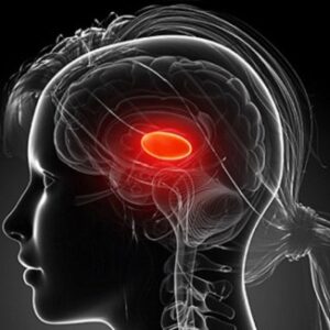 Cerebrospinal sensory-motor test