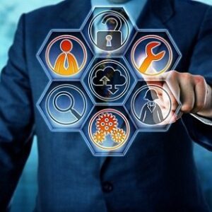 Intra-organizational behavior