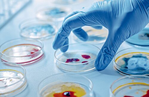microbiology techniques