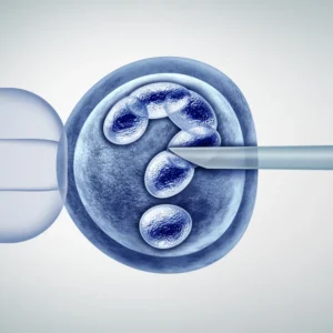 Course: IVM and IVF