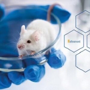 Laboratory Animal hands on