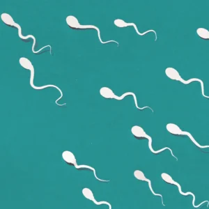 Washing, culture and evaluation of the embryo