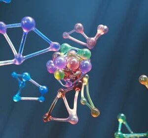 The multicellular organism