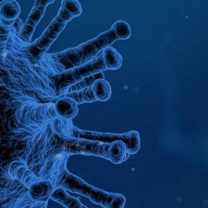 Bacterial genetics