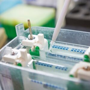 Fundamentals of Western Blotting Course 1: Sample Preparation