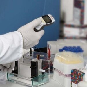Western blot proficiency course